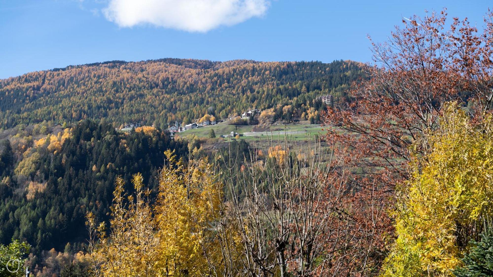 Italianway - Castellazzi 12 Aquila Lägenhet Bormio Exteriör bild